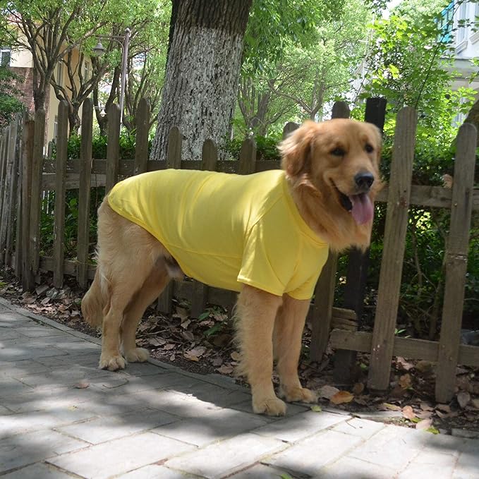 Lovelonglong Pet Clothing Dog Costumes Basic Blank T-Shirt Tee Shirts for Medium Dogs Yellow XXL