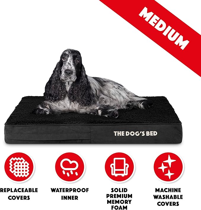 The Dog’s Bed Orthopedic Memory Foam Dog Bed, Medium Black Plush 34x22, Pain Relief for Arthritis, Hip & Elbow Dysplasia, Post Surgery, Lameness, Supportive, Calming, Waterproof Washable Cover