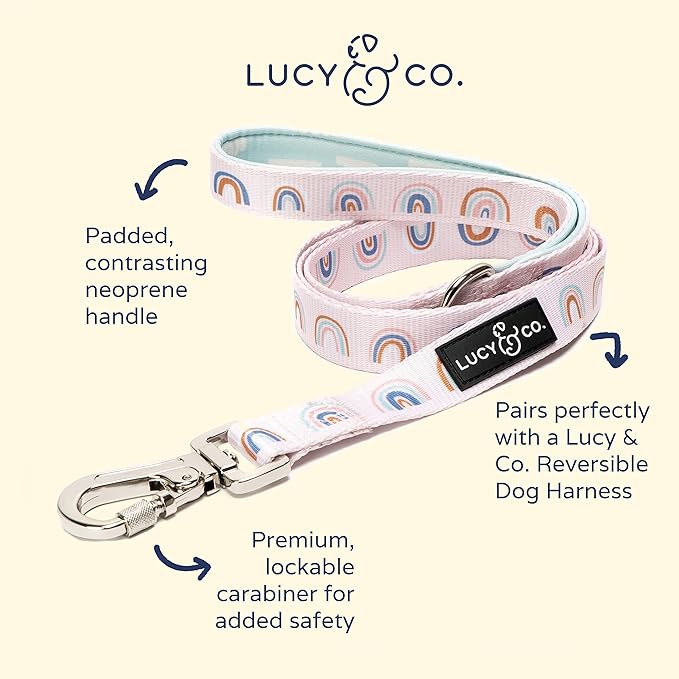 Lucy & Co. 5 Foot Designer Dog Leash - Best for Big, Small, or Medium Dogs - Puppy Leash - Cloud, Large