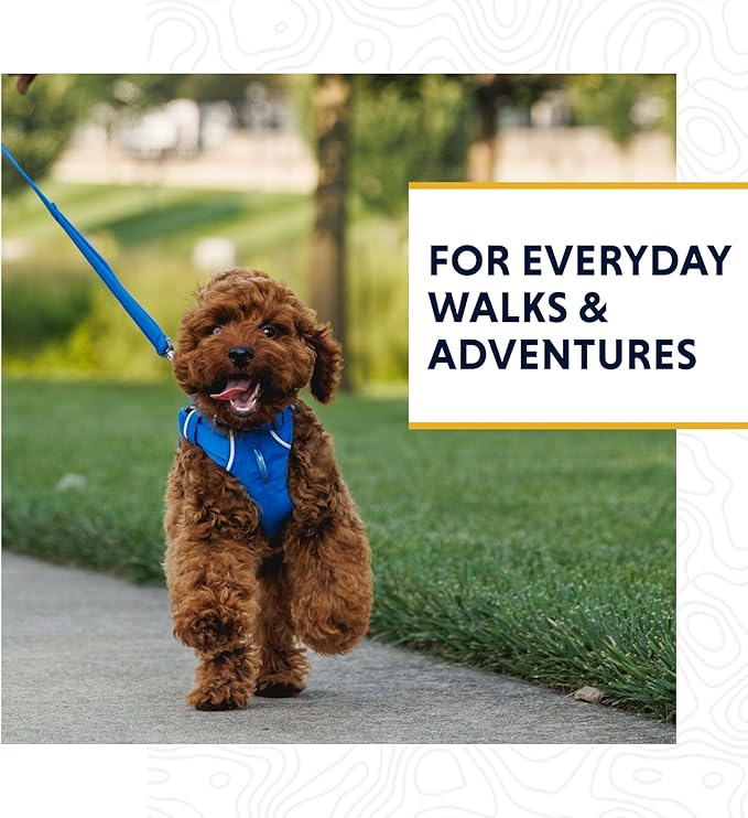 Ruffwear, Front Range Dog Leash, 5 ft Lead with Padded Handle for Everyday Walking, Basalt Gray