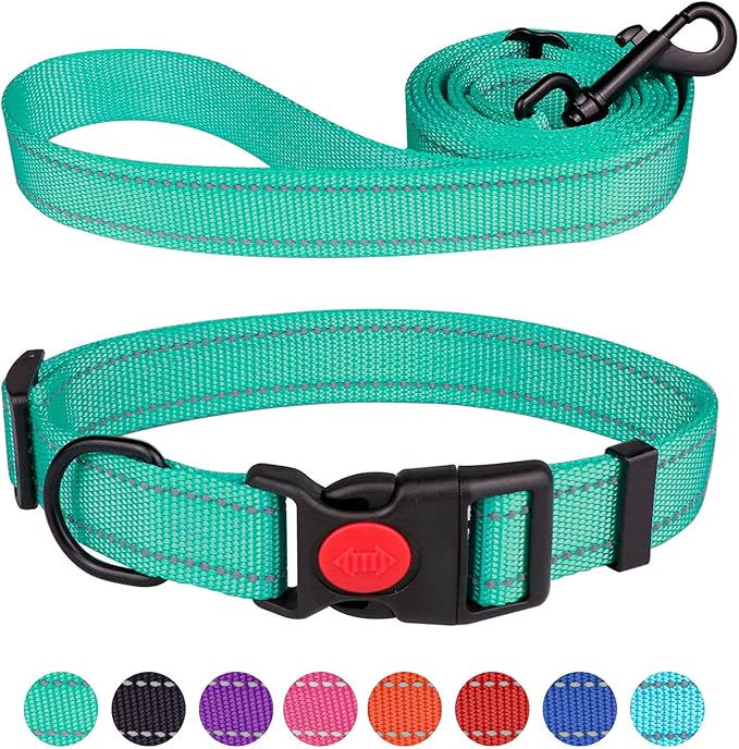 Reflective Dog Collar and Leash Set with Safety Locking Buckle Nylon Pet Collars Adjustable for Small Medium Large Dogs 3 Sizes(Mint Green&L)