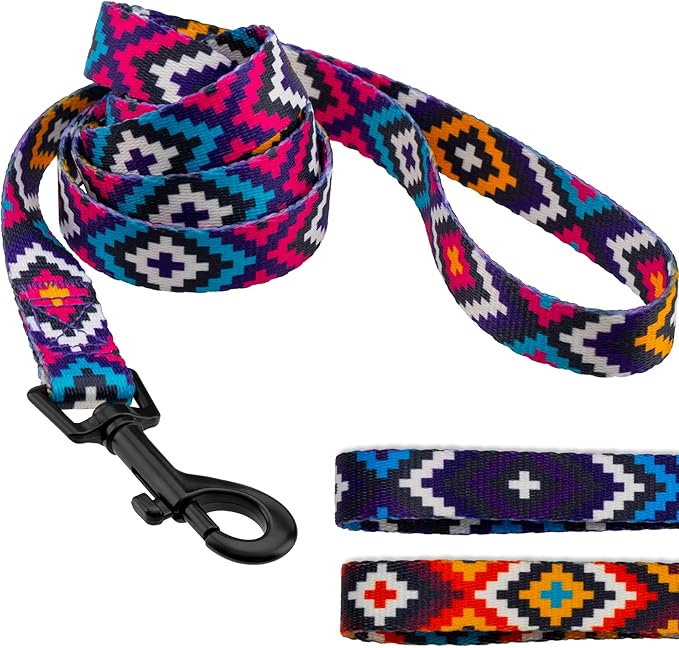 CollarDirect Aztec Dog Leash Nylon Tribal Pattern Cat Pet Leashes for Small Medium Large Dogs Puppy Lead 5 FT Long for Walking (Pattern 1, M, New)