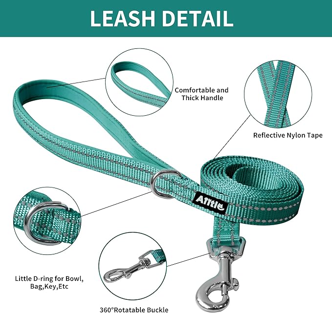 AIITLE Small Harness for Puppy with A Leash - Spring Dog Vest Harness with Super Breathable Mesh, Reflective No-Pull Pet Harness for Outdoor Walking, Camping for Small Dogs, Cats Pure Turquoise XXS