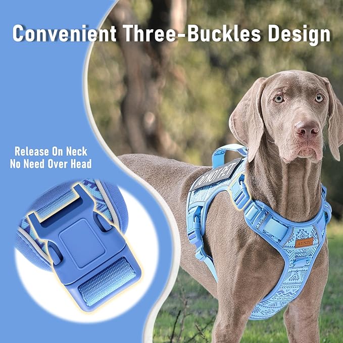 No Pull Dog Harness for Large Dogs with 2 Metal Clips, Easy On/Off with Neck Buckle, Heavy Duty Adjustable Tactical Puppy Vest, Breathable Pet Harness with Easy Control Handle, Blue L