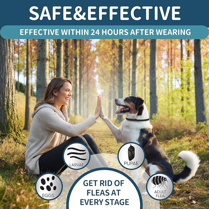 Flea Collar for Dogs, 4 Pack Dog Flea and Tick Collar 32 Months