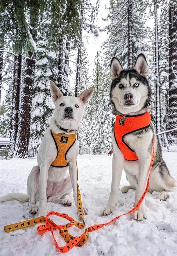 Classic Dog Harness Over The Head Mesh - No Pull No Choke Design Soft Mesh Padded Breathable Vest for Eco-Friendly for Full Size Breeds & Extra Large Dogs (XXL, Orange)