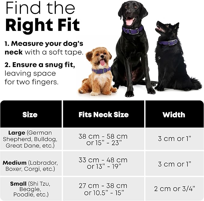 Regal Dog Products Small Purple Waterproof Dog Collar and Leash Set | Heavy Duty Double Buckle & D Ring - 5'ft Leash | Adjustable Biothane Dog Collar | Chew Resistant Waterproof Collar for Dogs