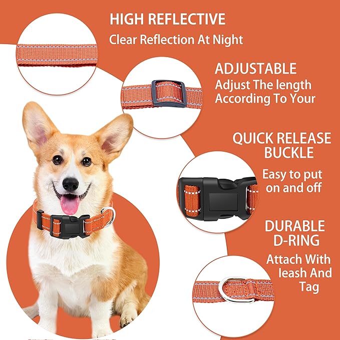 Reflective Dog Collar with Safety Locking Buckle, Adjustable Soft Breathable Nylon Collars for Small, Medium and Large Dogs(Collar+Leash XS Width 5/8" Orange)