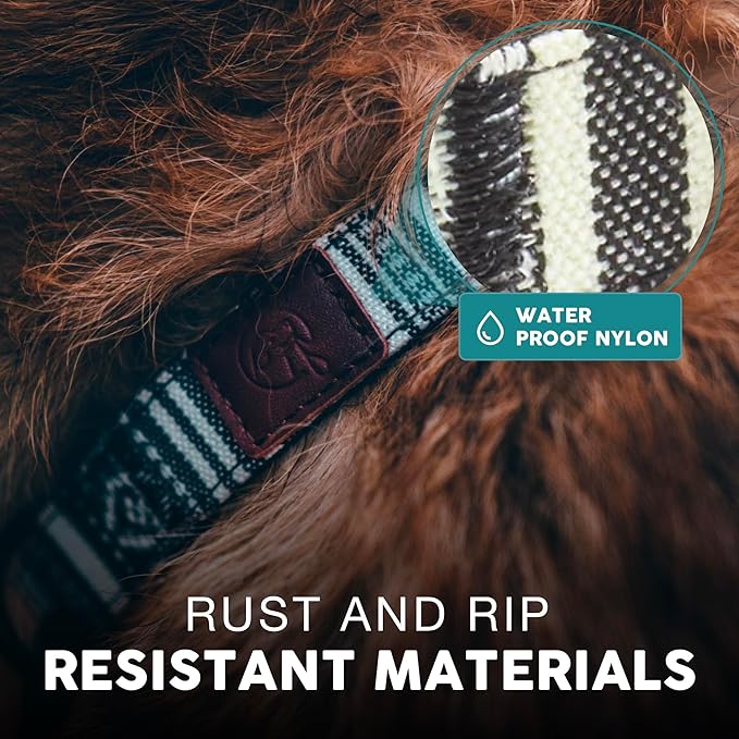 Embark Adventure Dog Collar – Stylish & Durable Nylon Dog Collars for Small Dogs, Comfortable Pet Collar, Small Dog Collars for Male & Female Dogs with Strong Buckles. Adjustable Small Dog Collars