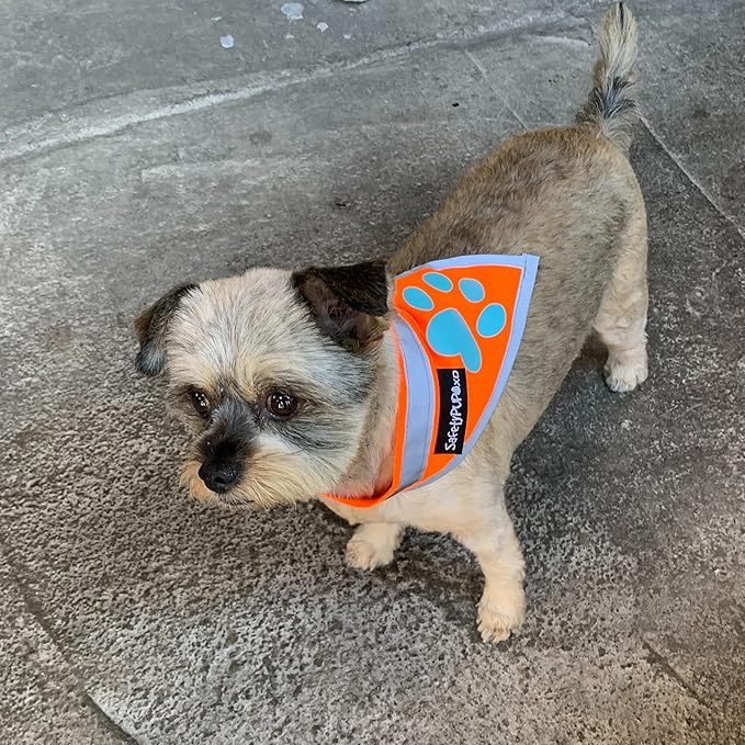Orange Dog Bandana. Hi-Visibility Reflective, Blaze Orange Bandana for Large and Small Pets. Safety Accessories for Walking, Camping, and Off Leash Exploration.