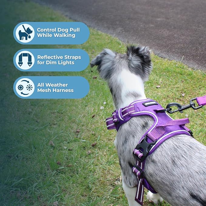 Dog Harness Dual Leash Attachment No-Pull Control Adjustable Soft but Strong Pet Harness for Medium and Large Dogs with 3M Reflective Technology - Harness Leash Set (Purple Lattice), M