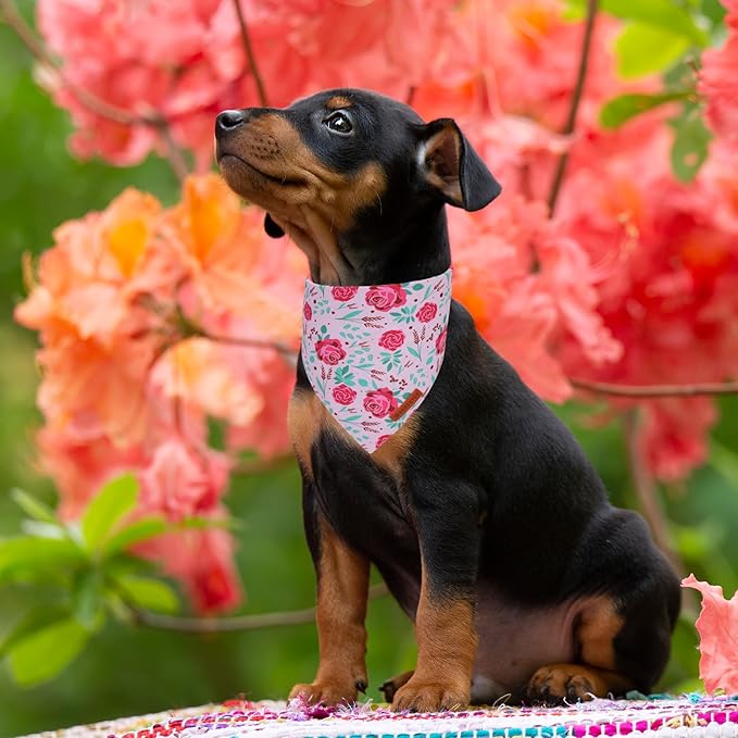 ADOGGYGO Floral Dog Bandana, Red Yellow Rose Pet Scarf, Adjustable Fit Flower Bandanas for Small Dogs Pets (Small)