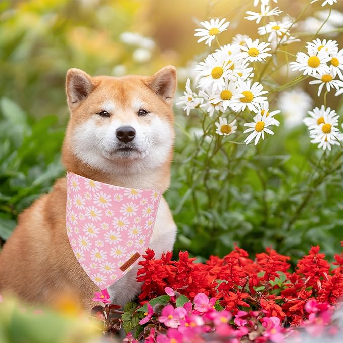 ADOGGYGO Floral Dog Bandana 2 Pack, Reversible Pink Daisy Puppy Scarf Bib, Adjustable Fit Cute Flower Bandanas for Small Dogs Pets (Small)