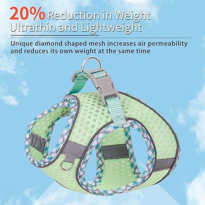 Summer Dog Harness and Leash Set, Soft Dog Vest Harness with Super Breathable Diamond Mesh, Reflective No-Pull Pet Harness for Outdoor Walking, Training for Small Dogs, Cats Sage XXS