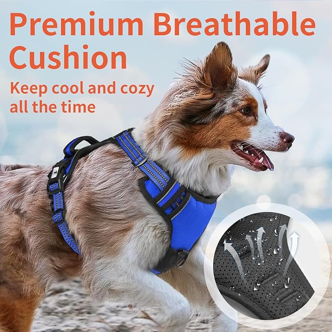 Dog Harness, No-Pull Pet Breathable Harness, Adjustable Soft Padded Dog Vest with 2 Leash Clips, Reflective No-Choke Pet, Easy Control Handle for Large Dogs, Blue, S