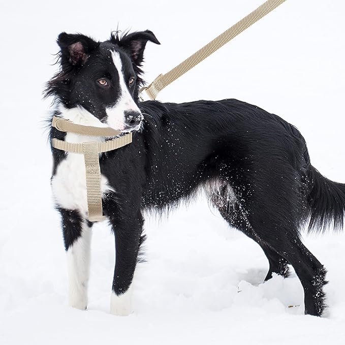 No Pull Dog Harness - Adjustable Step-in Harness & Leash Set for Small, Medium, Large Dogs - Escape Proof Soft Pet Harness for Walking, Training, Hiking, Outdoor Activities