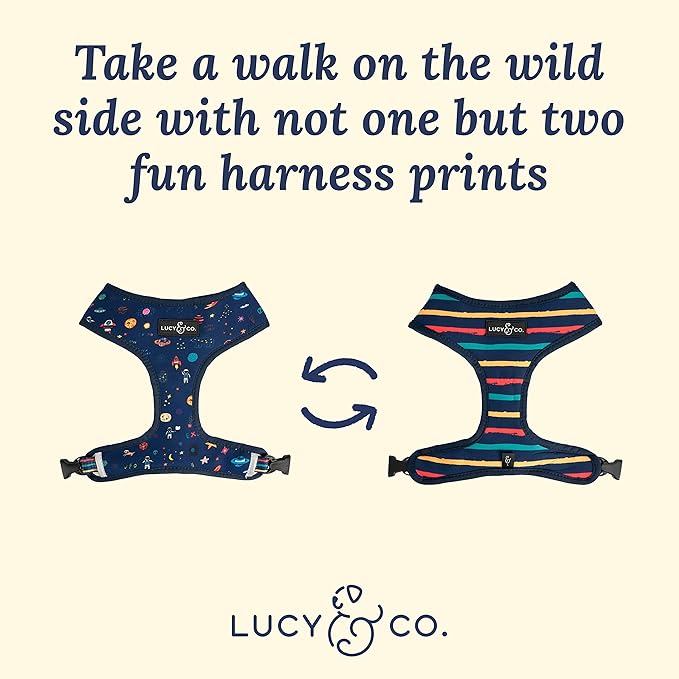 Lucy & Co. Space Doodle, Cute Reversible Dog Harness Walking Halter - Best Designer Pet Harnesses for Medium Dogs - Padded Adjustable Vest for Easy Walking (Small)