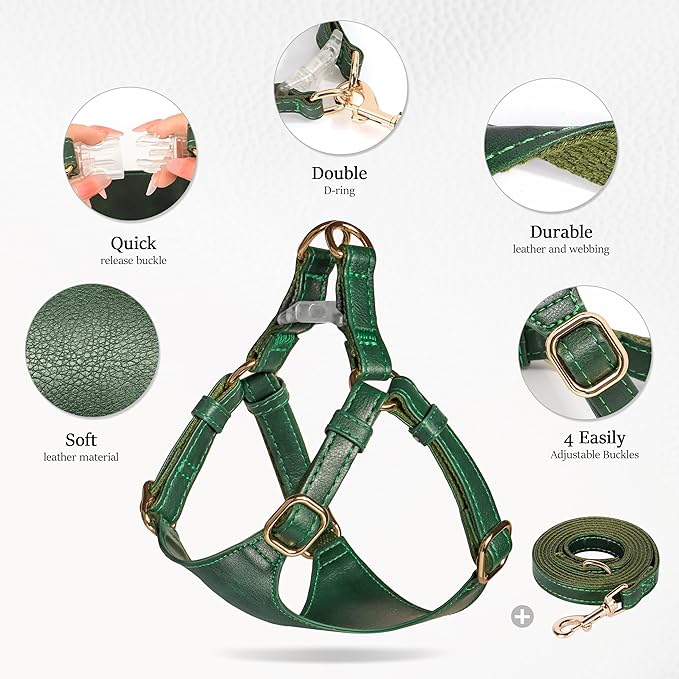 Didog Small Dog Harness and Leash Set, Soft & Lightweight Dog Vest Harness, Adjustable Leather Dog Harness for Small Medium Dogs, Green, M