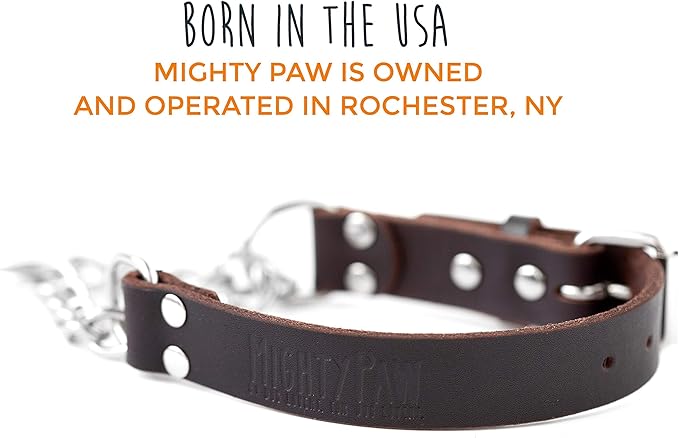 Mighty Paw Martingale Dog Collar - No Pull Design - Stainless Steel Chain - Limited Chain Cinch Training - Brown Leather Martingale Training Collar - Small Size