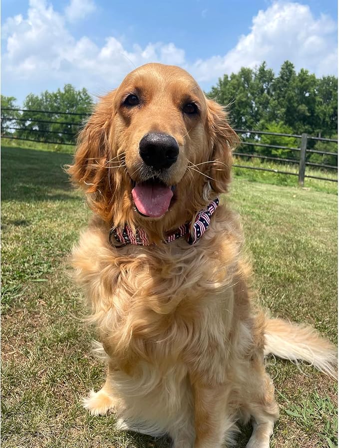 Lionheart glory American Flag Dog Collar, 4 of July Dog Bow Collar Heavy Duty Adjustable Patriotic Dog Collar with Bowtie for Large Dogs Pet Gift