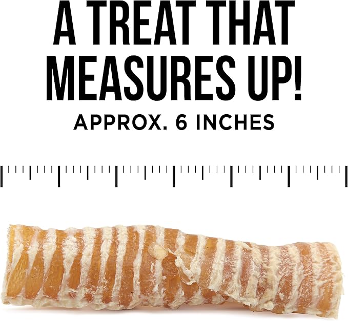 Natural Rapport Beef Trachea Dog Treats - The Only Beef Trachea Chews Dogs Need - All Natural Dog Treats for Small and Large Dogs (3 Chews)