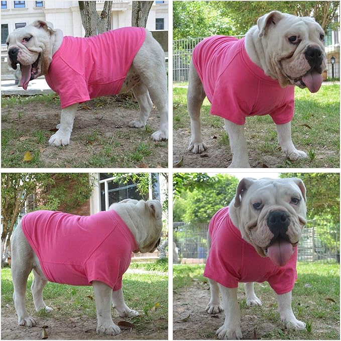 Lovelonglong Pet Clothing Dog Costumes Basic Blank T-Shirt Tee Shirts for Small Dogs Rosered M