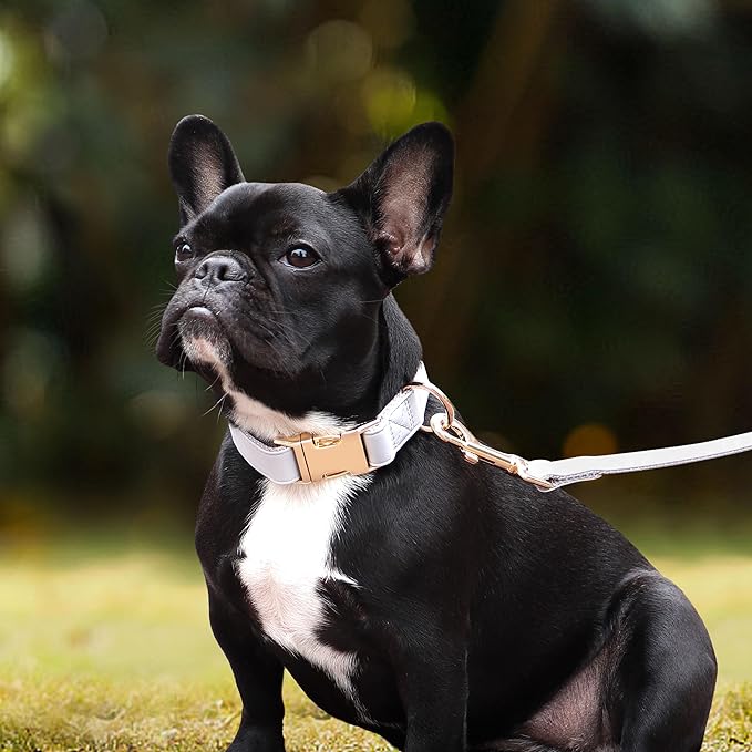 PET ARTIST Soft Leather Dog Collar for Small Dogs, Bright & Classic Nylon Padded Heavy Duty Dog Collar Leather with Quick Release Metal Buckle Adjustable for Male Dogs, Neck Fit 9-14"