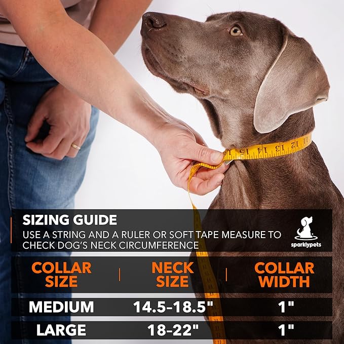 SparklyPets Heavy Duty Dog Collar with Handle for Medium and Large Dogs – Professional Collar with Reflective Stitches, Soft Handle & Nickel-Plated Buckle (Medium (14,5"~18,5"), Blue)