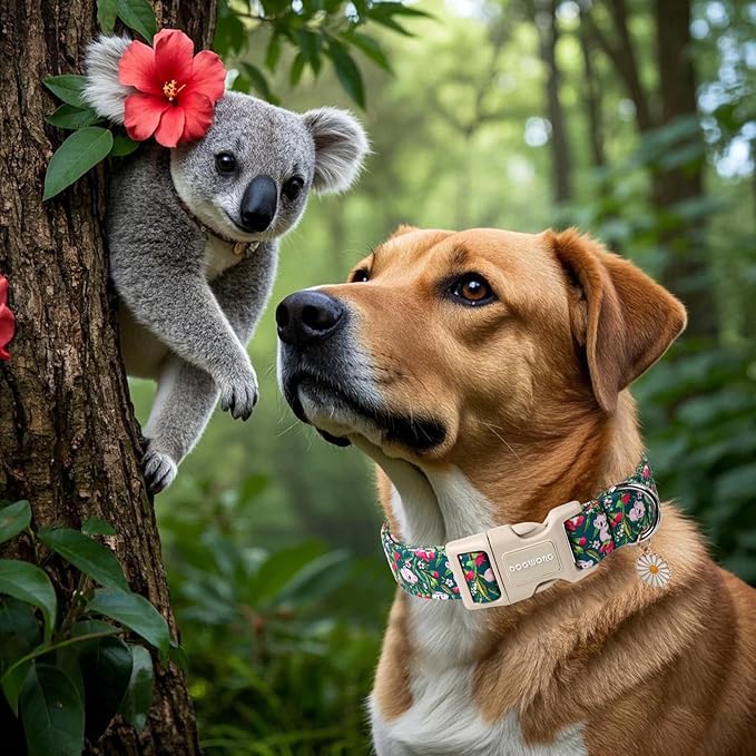DOGWONG Cute Dog Collar, Flower Koala Dog Collar Durable Soft Fabric Pet Dog Collars Girl Female Puppy Necklace for Small Medium Large Dogs