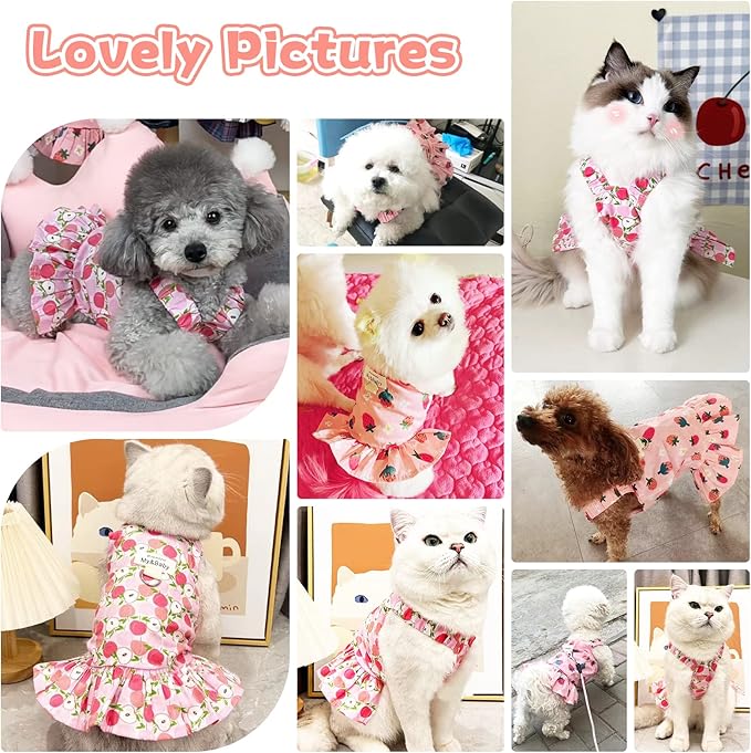 Small Dog Dress Harness and Leash Set - Cute Princess Dog Dresses, Soft Fruit Print, Pink Apple, XL