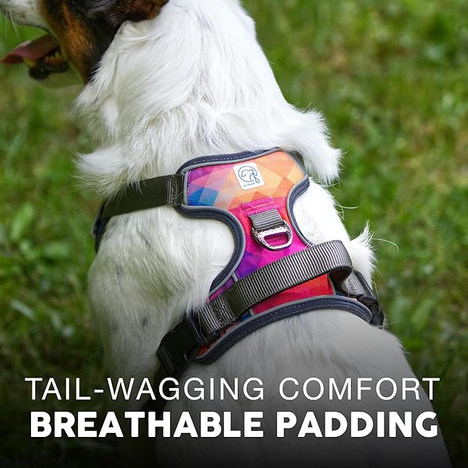 Embark Adventure Dog Harness, No-Pull Reflective Trim Dog Harness for Small, Medium & Large Dogs - Heavy Duty Oxford, 2 Leash Clips & Gel Lined Handle. Soft & Padded Puppy Dog Vest for Any Breed