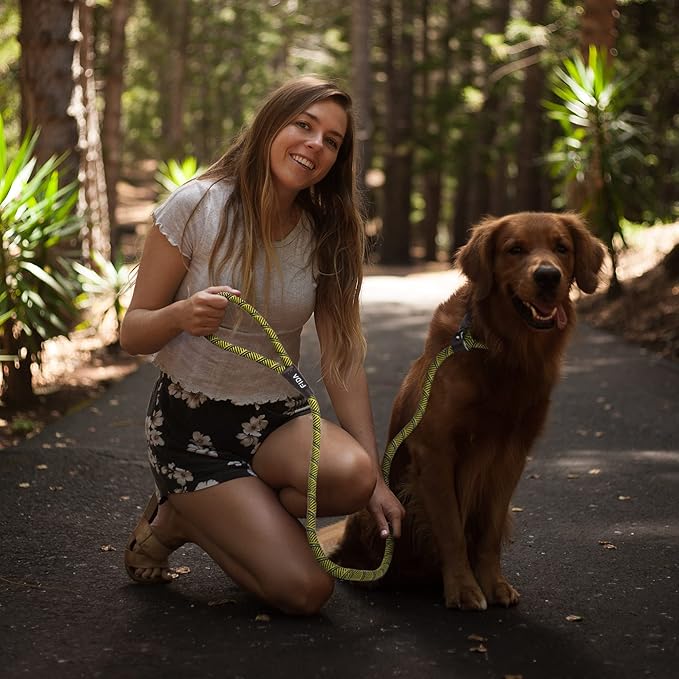 Fida Durable Slip Lead - 6 FT x 1/2" Heavy Duty Dog Loop Leash, Strong Rope Comfortable for Large, Medium Dogs, No Pull Pet Training Leash with Highly Reflective Yellow