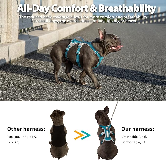 Escape Proof Dog Harness, Escape Artist Harness, Fully Reflective Harness with Padded Handle, Breathable,Durable, Adjustable Vest for Medium Dogs Walking, Training, and Running Gear (Teal,XS)