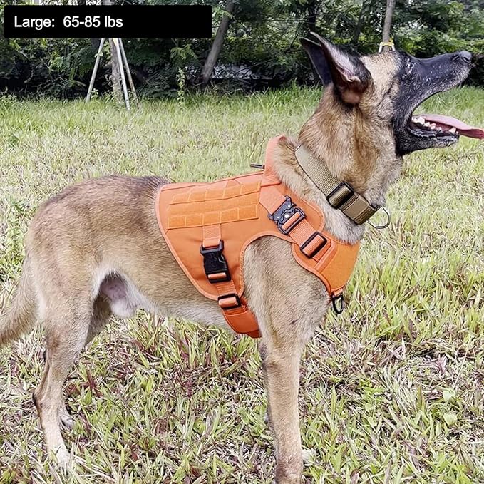 ICEFANG Tactical Dog Harness,Large Size, 2X Metal Buckle,Working Dog MOLLE Vest with Handle,No Pulling Front Leash Clip,Hook and Loop Panel