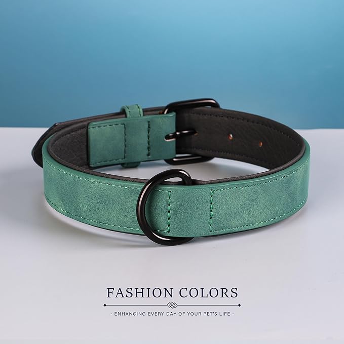 Didog Soft Padded Leather Dog Collar, Breathable Heavy Duty Dog Collar Faux Leather with Adjustable Rust-Proof Metal Buckle for Small Medium Large Dogs, Green, L Fit Neck 13-17"(22-44 lbs)