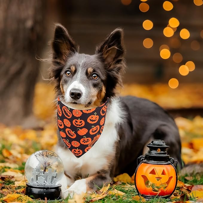 ADOGGYGO Halloween Dog Bandana, Pumpkin Bat Pet Scarf, Premium Durable Fabric, Orange Black Halloween Bandanas for Medium Large Dogs Pets (Large)