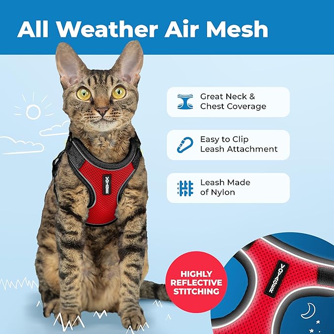 Voyager Escape Proof Cat Harness and Leash Set with Reflective Stitching, Neoprene Handle 5ft - Supports Small, Medium and Large Cats, Kittens for Walking by Best Pet Supplies - Black Trim-Red, XXXS