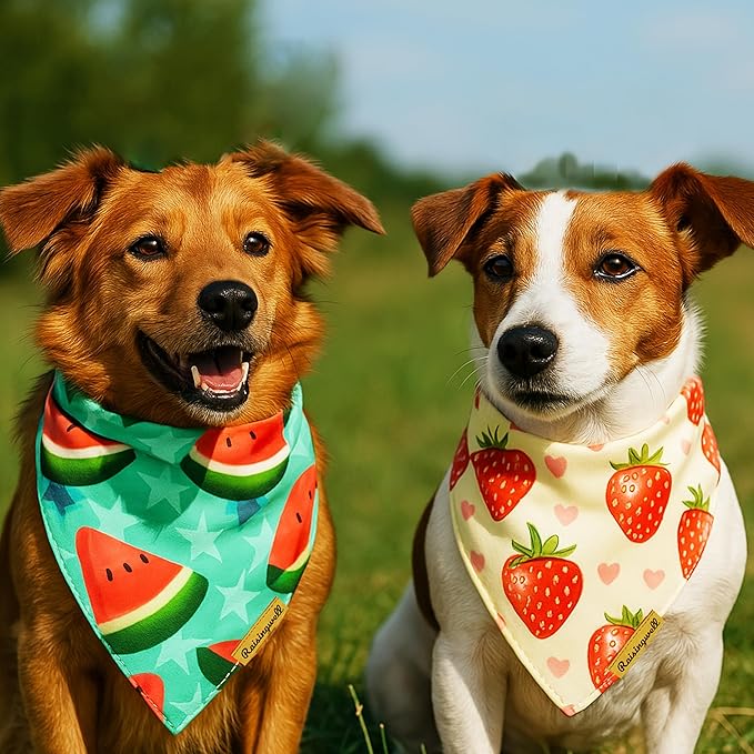 New Summer Fruit Dog Bandanas 2 Pack 4 Pattern Reversible, Holiday Bandana for Boy and Girl, Premium Durable Fabric, Party Triangle Scarf for Medium to Large Breed Dogs (Large)