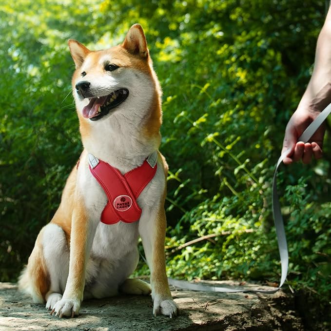 Patas Lague Dog Harness with Leash Set Adjustable Soft Padded Step-in Dog Vest No Choke No Pull Reflective for Small Medium Pets with Poop Bags and Dispenser, Solid and No-chew, Red M