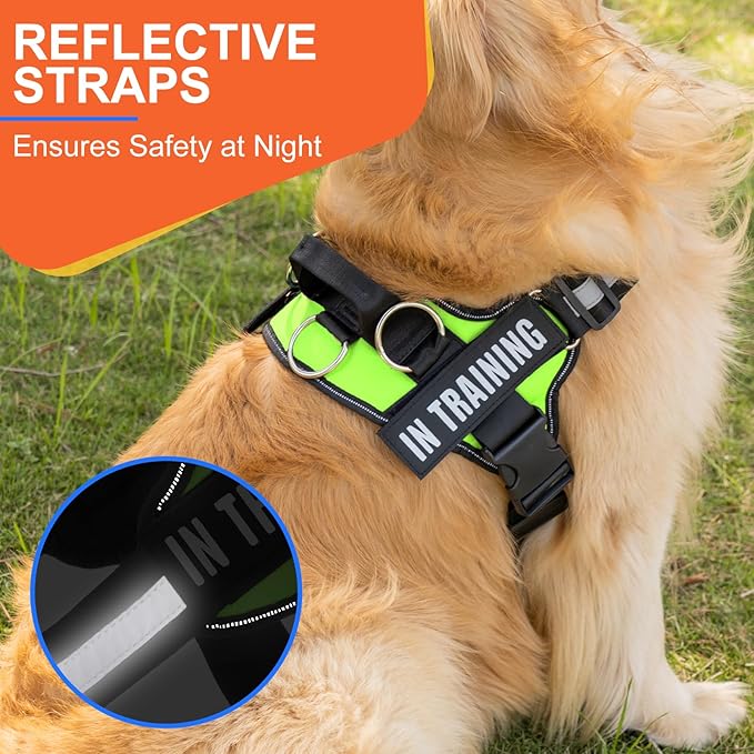 Essential Dog Harness, No Pull Pet Harness with 3 Side Rings for Leash Placement, No Choke, Reflective, Adjustable Pet Vest, Easy On-Off & Improved Control Handle, Training, Walking, Running