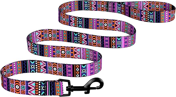 CollarDirect Aztec Dog Leash Nylon Tribal Pattern Cat Pet Leashes for Small Medium Large Dogs Puppy Lead 5 FT Long for Walking (Pattern 2, M)