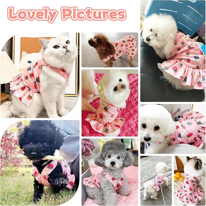 Small Dog Dress Harness and Leash Set Cute Princess Birthday Dog Dresses Soft Fruit Print Puppy Dresses Girl Dog Clothes for Small Dogs Cats Chihuahua Yorkie Shih Tzu (Pink Strawberry,S)