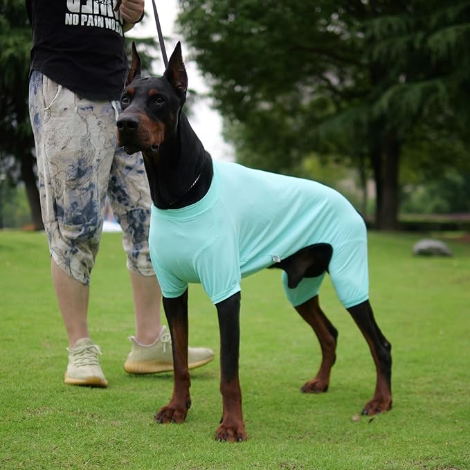 LoveLongLong Dog Jumpsuit with UV Protection and Quick-Dry Fabric for Spring Summer Pet Pajamas Turquoise 2XL