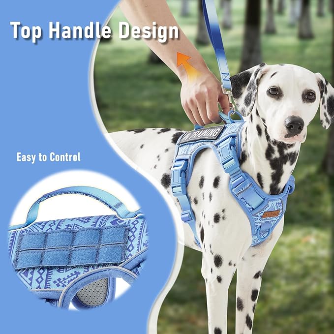No Pull Dog Harness for Large Dogs with 2 Metal Clips, Easy On/Off with Neck Buckle, Heavy Duty Adjustable Tactical Puppy Vest, Breathable Pet Harness with Easy Control Handle, Blue L