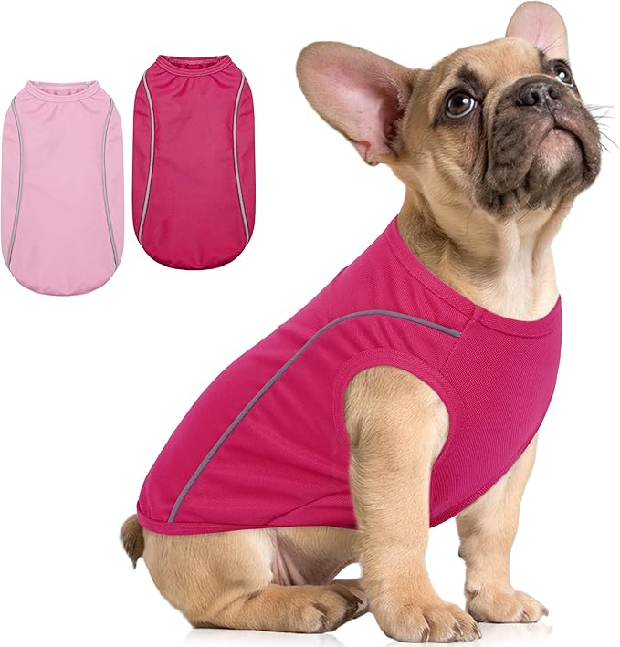 PUMYPOREITY 2Pack Mesh Dog Shirt, Dog T-Shirt with Reflective Strip Safety for Night Walking, Soft Breathable Stretchy Tank Top Vest, Stretchy Pet Shirt, Pink, M