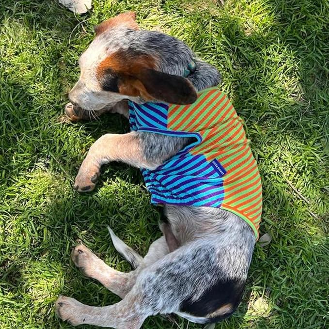 Little Beast Dog Clothes - Pet Clothes for Large, Medium, and Small Dogs (Dog Shirts Come in Multiple Colors and Styles) - Size: X-Large Dogs, Green/Orange