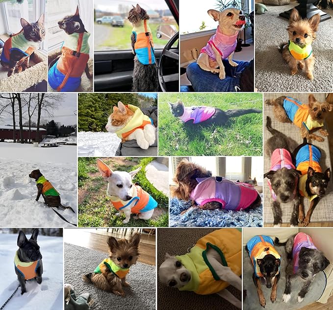 Idepet Pet Dog Cat Coat with Leash Anchor Color Patchwork Padded Puppy Vest Jacket Teddy Chihuahua Costumes Pug Cloth XS S M L (Large (Pack of 1), Sky Blue)
