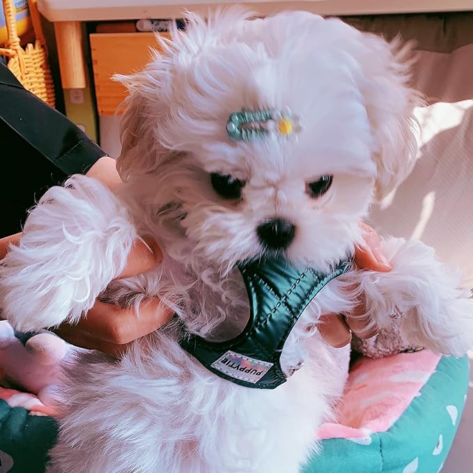 Puppytie No Pull Dog Harness with Multifunction Dog Leash,Soft Adjustable No Choke Escape Proof Pet Harness Vest for Medium Dogs,Glossy Dark Green,M