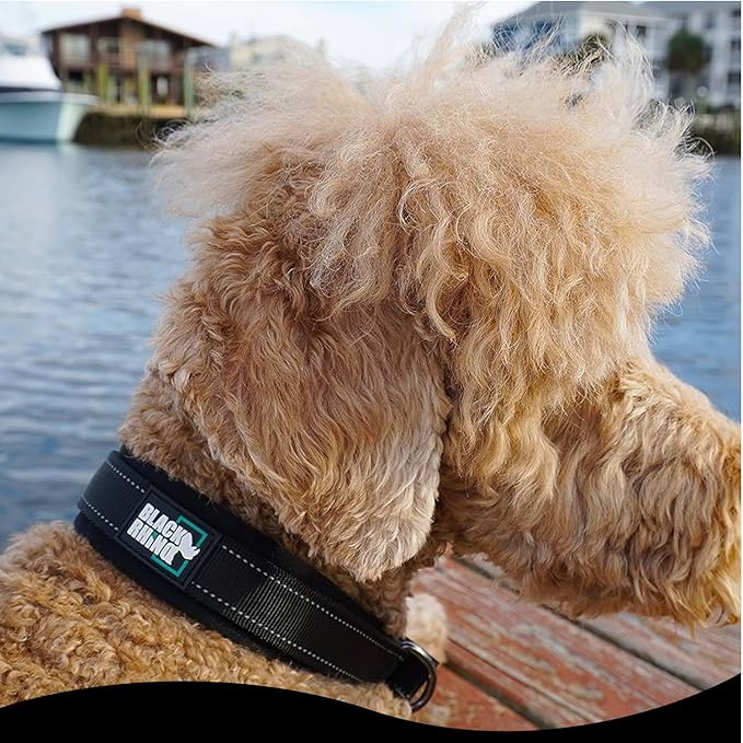 Black Rhino Dog Collars for Large Dogs - Adjustable Reflective Heavy Duty Dog Collar with Ultra-Soft Neoprene Padding - Weatherproof, Durable, and Comfortable - Ideal for Active Dogs - Black
