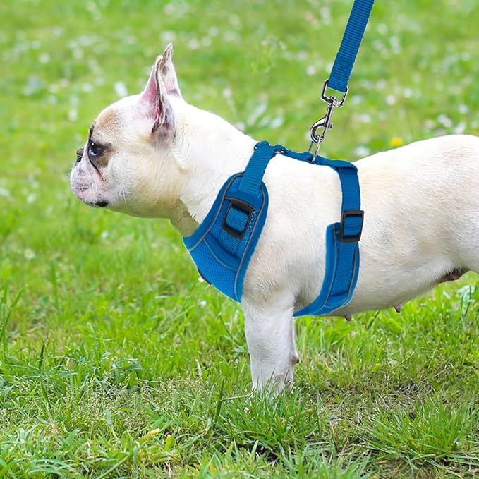 PUPTECK Dog Harness and Leash Set for Small Medium Dogs No Pull, Soft Mesh Adjustable Puppy Cat Harness Reflective at Night, Deep Blue XS